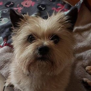 Meet your Posher, Sally